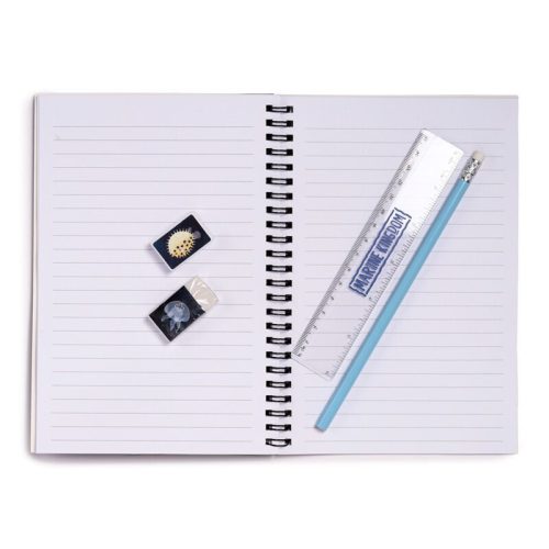 Iskolai Írószer Szett – Tengervilág, 6 db-os készlet, tolltartóval