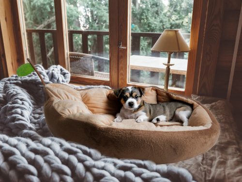 Plüss kutya- és macskaágy – levél alakú, puha párnázott fekhely (52 × 45 × 15 cm)