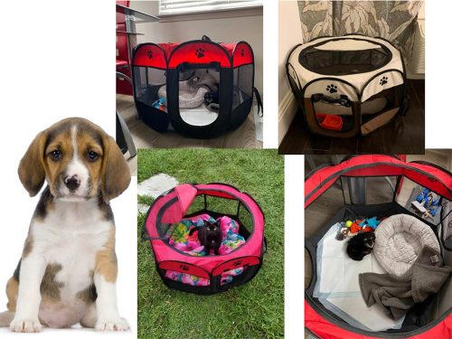 Összecsukható kutyaház és macskaház, kisállat ketrec, kennel – nagy, könnyű, hordozható