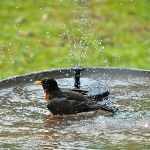 Napelemes szökőkút 16 cm